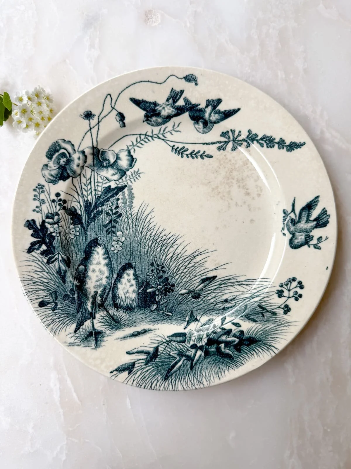 Antique French Terre de Fer Blue Transferware Bird Plates
